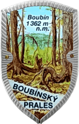 Boubínský prales Boubínský prales